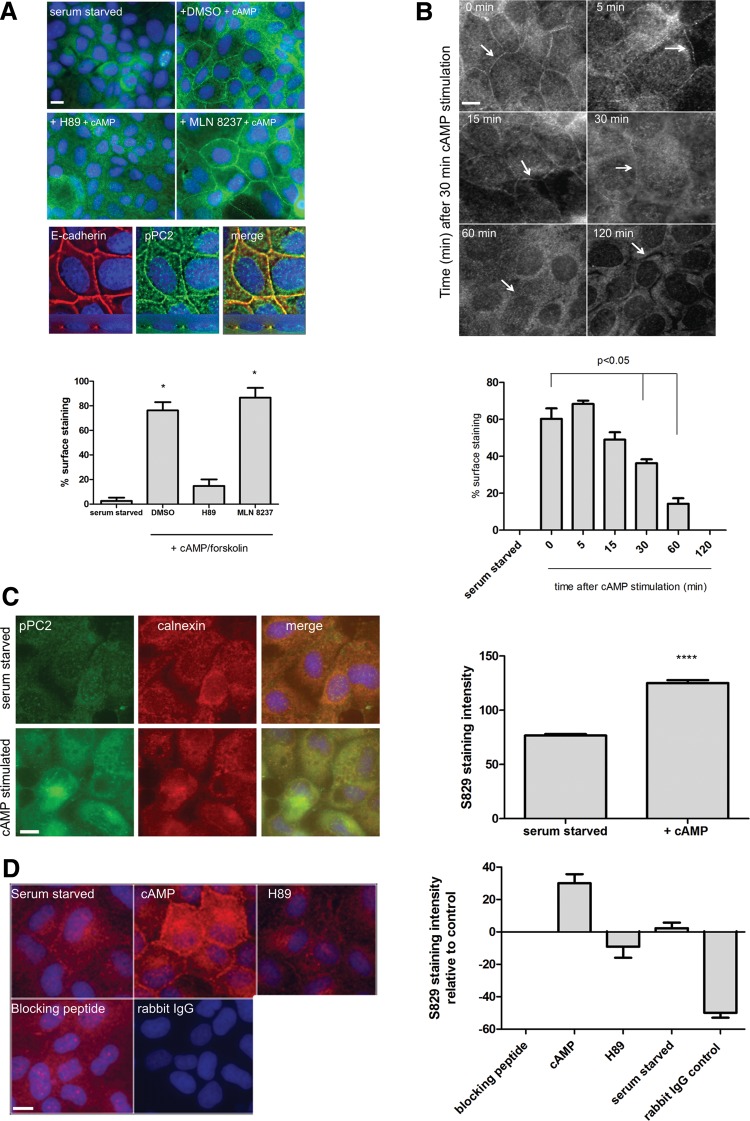 Figure 2.