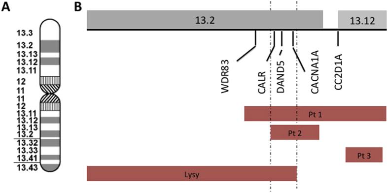 Figure 4