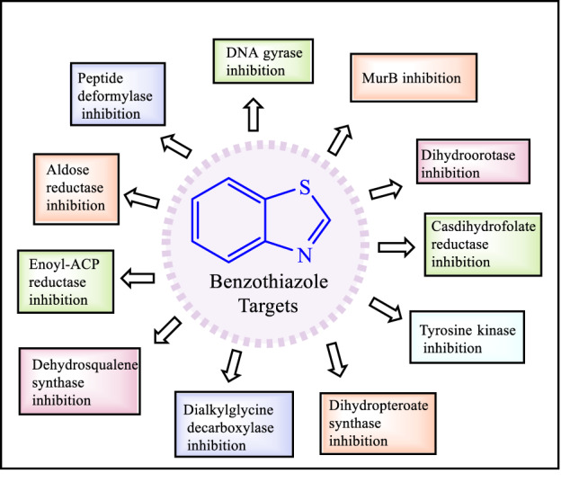graphic file with name 44_2023_3077_Figa_HTML.jpg