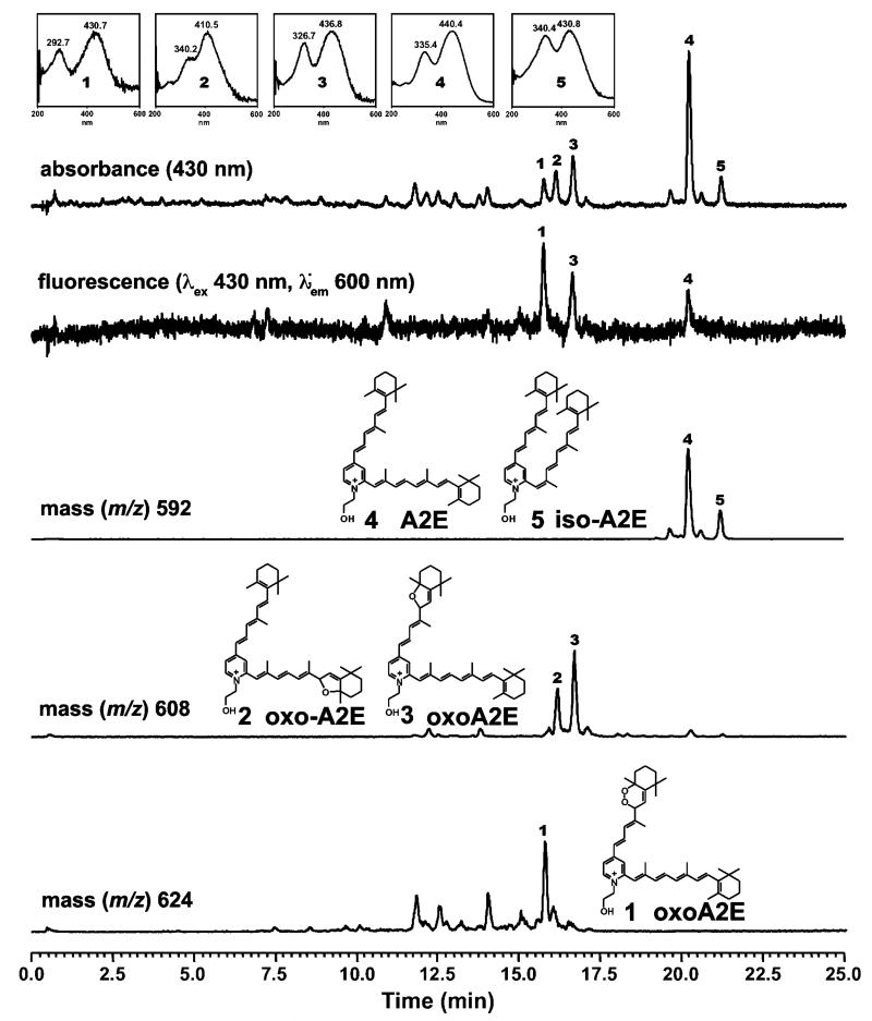 Fig. 5