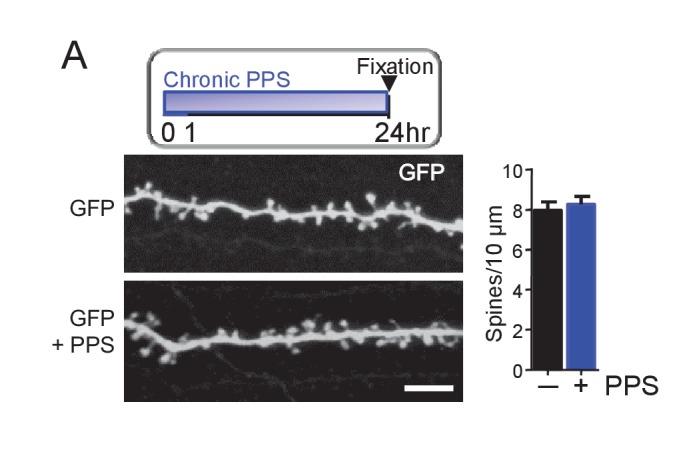 Figure 2—figure supplement 1.