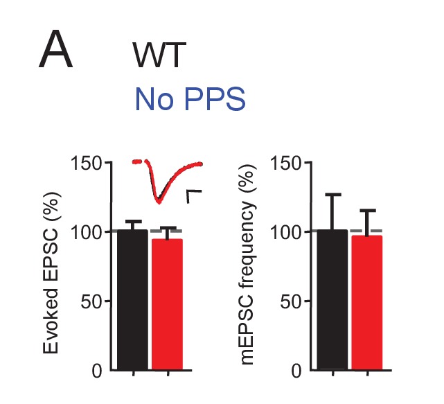 Figure 1—figure supplement 1.