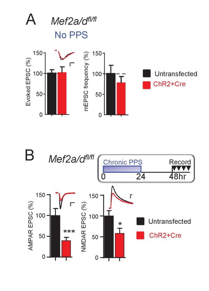 Figure 4—figure supplement 1.