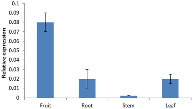 Fig 7