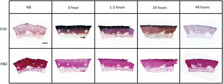 Figure 6.