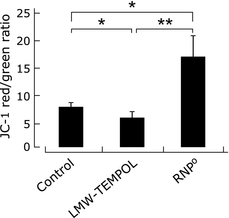 Fig. 4