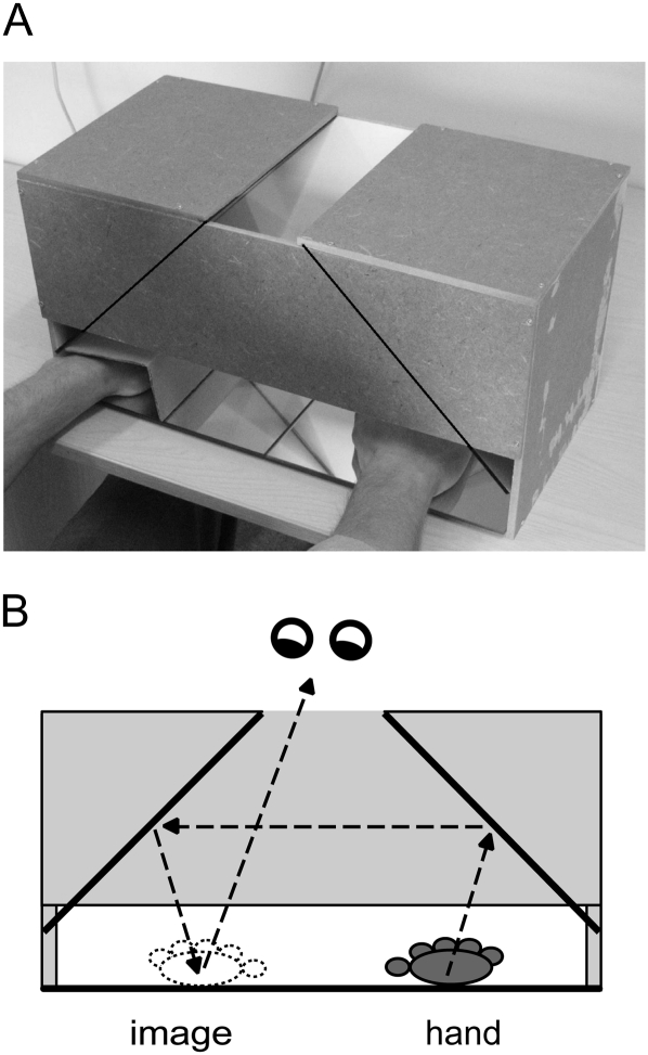 Figure 2.