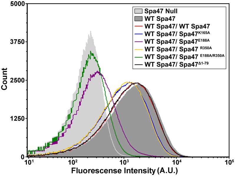 Fig 6