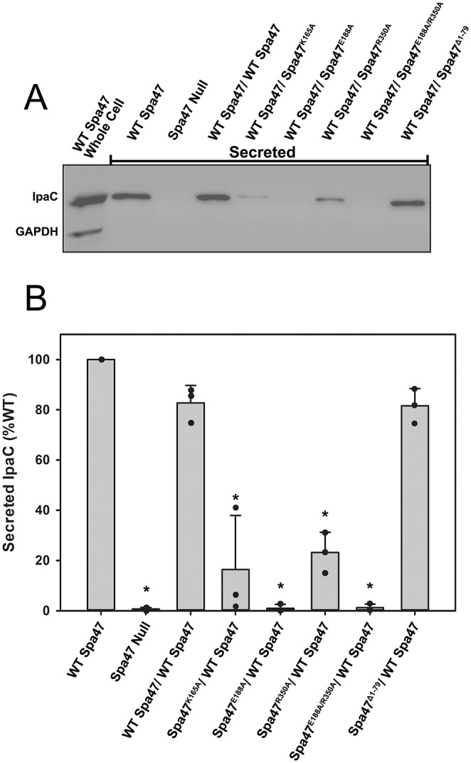 Fig 5