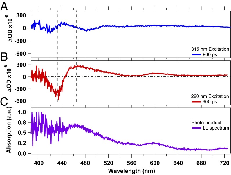 Fig. 3.