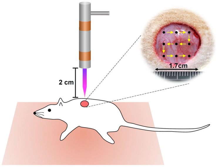 FIGURE 1