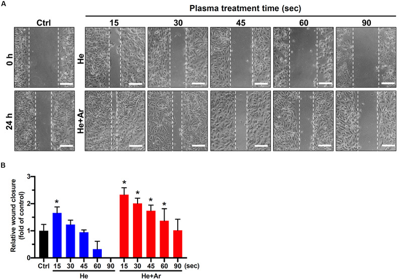 FIGURE 3