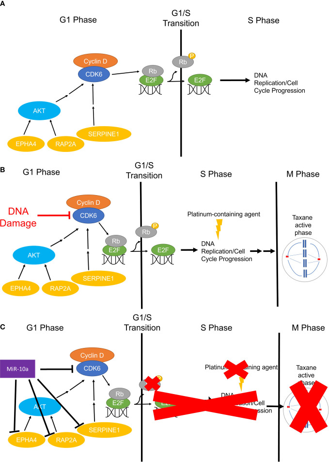 Figure 10