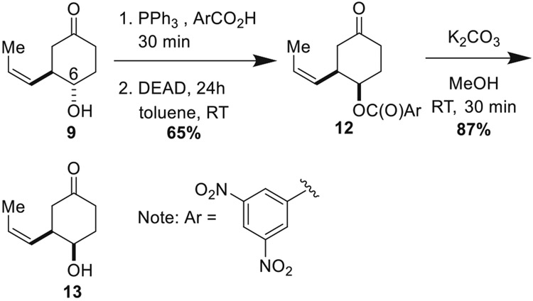 Scheme 4