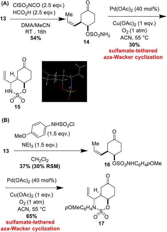 Scheme 5