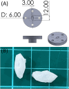 Fig. 1
