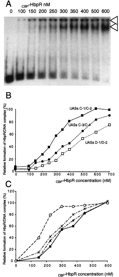 FIG. 6.