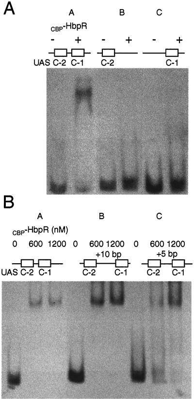 FIG. 7.