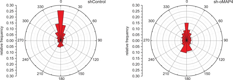 Figure 3—figure supplement 2.