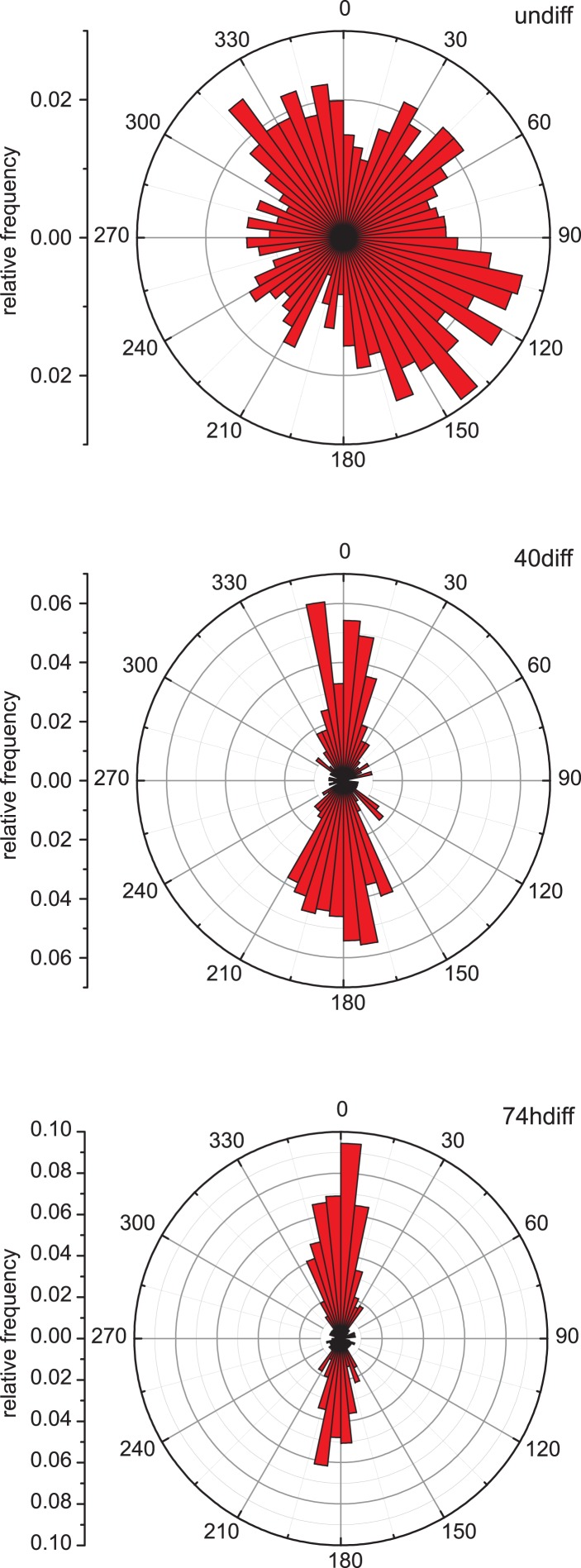 Figure 1—figure supplement 1.