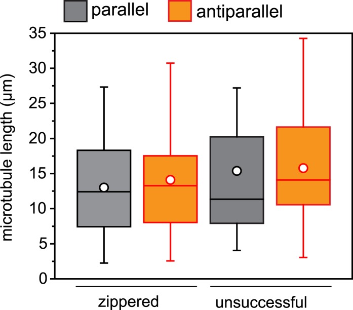 Figure 6—figure supplement 1.