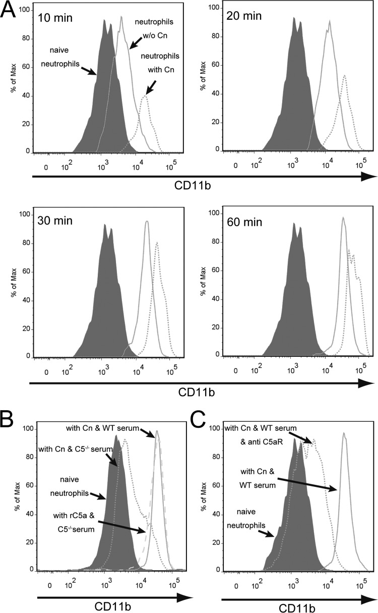 FIG 6