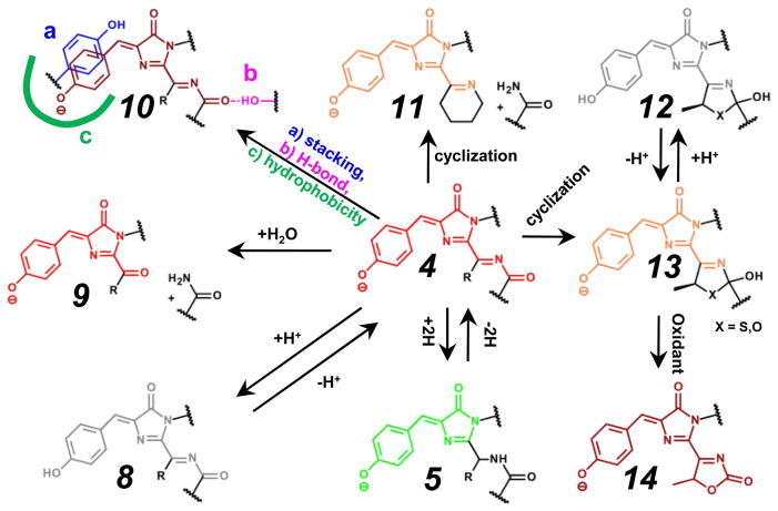 Figure 4