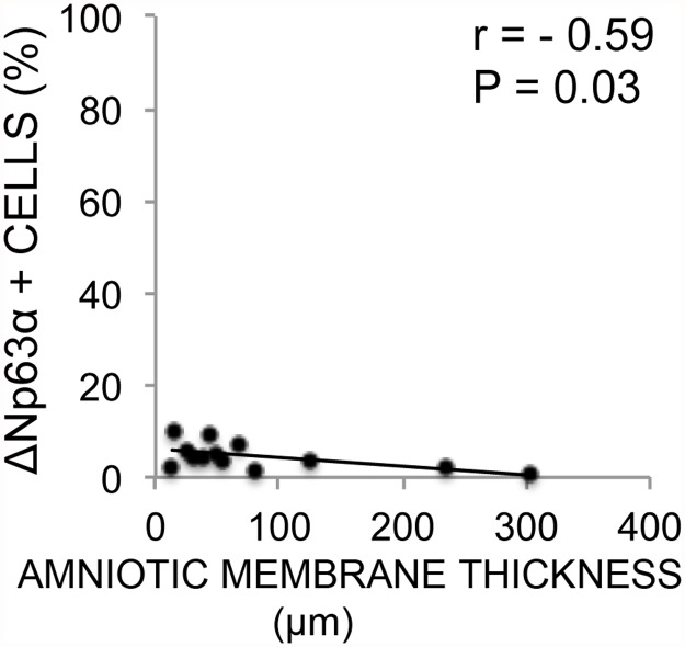 Fig 11