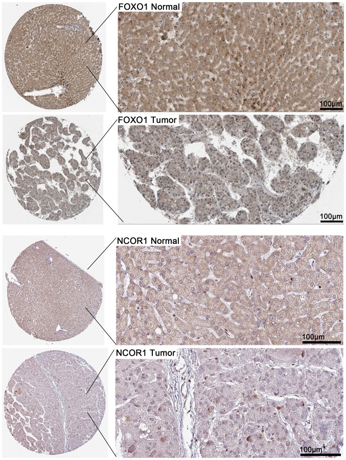 Figure 14.