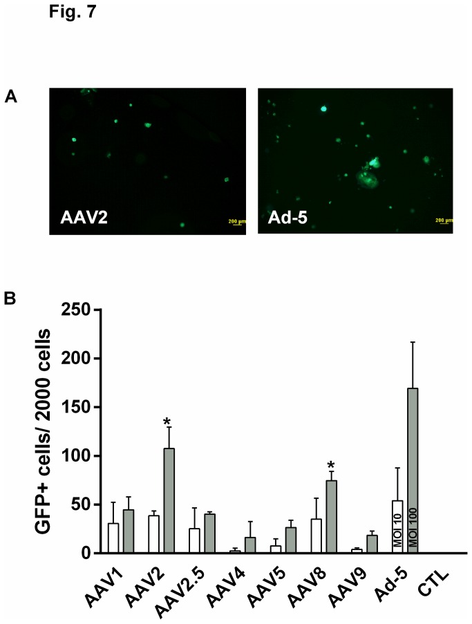 Figure 7