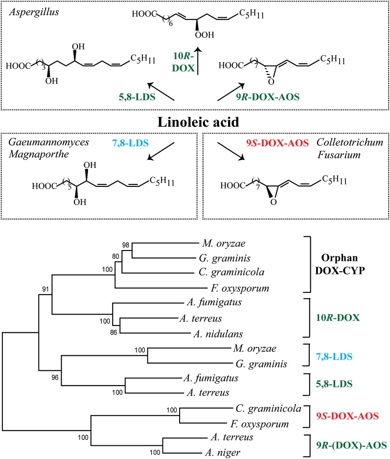 Fig. 1.