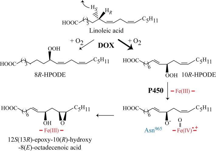 Fig. 7.