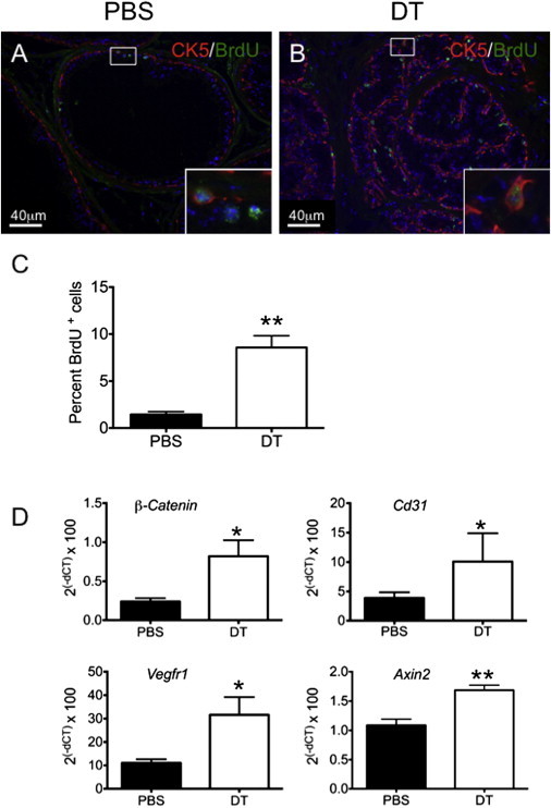 Figure 6