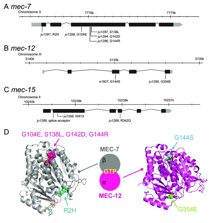 Figure 7—figure supplement 1.