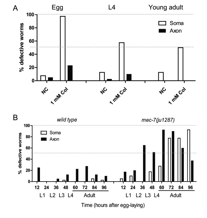 Figure 7—figure supplement 2.