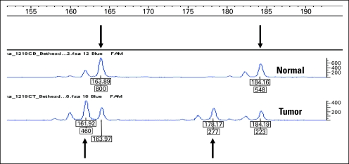 Fig 1.