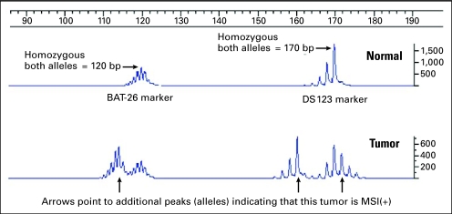 Fig 2.