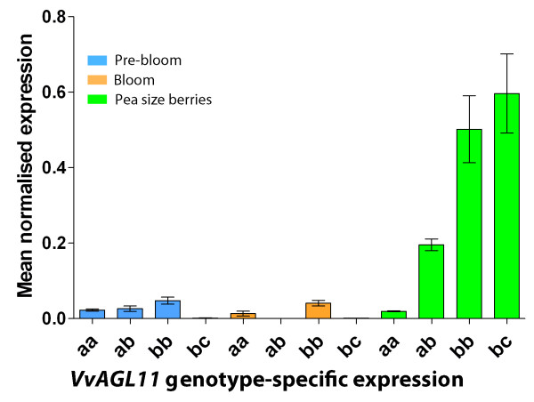 Figure 5