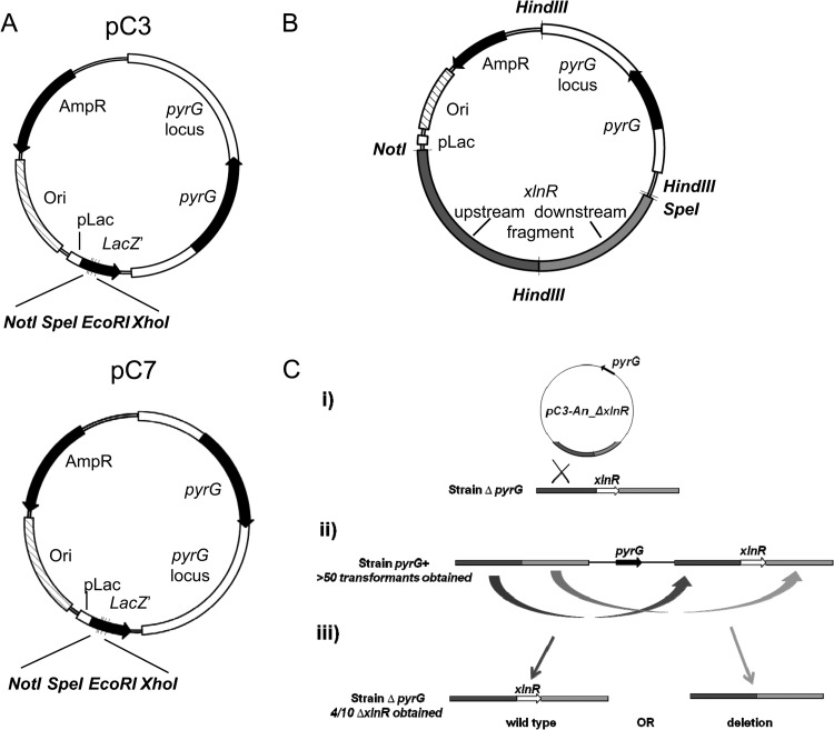 FIG 1