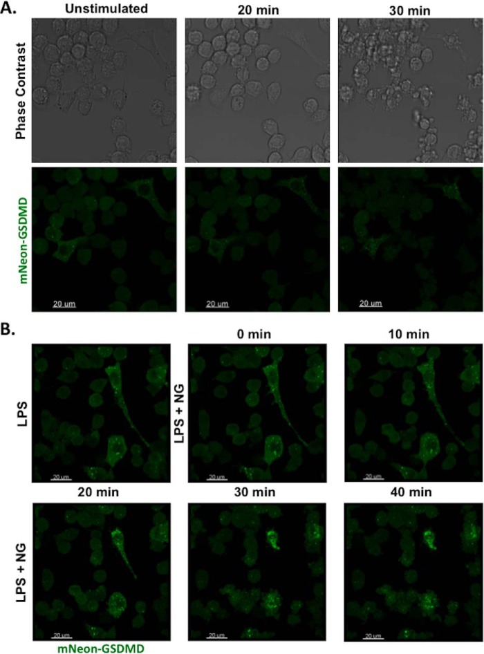 Figure 6.