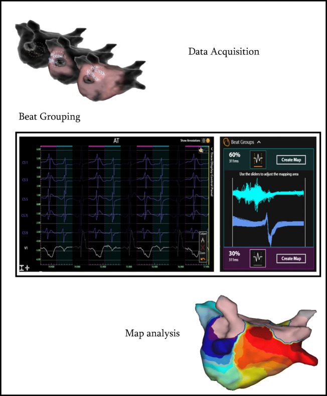 Fig. 2