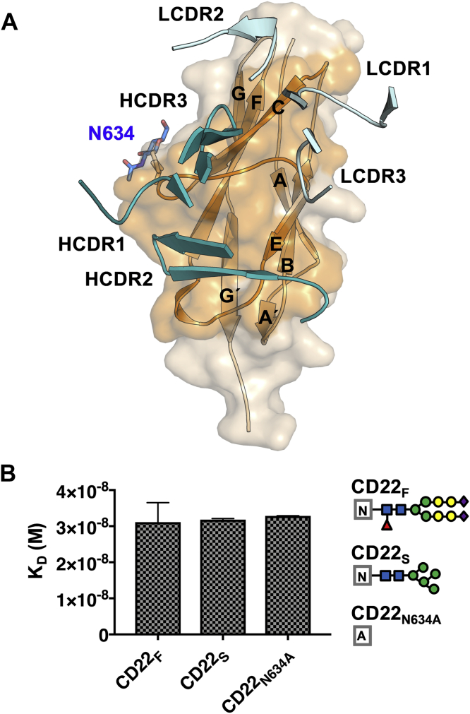 Figure 3