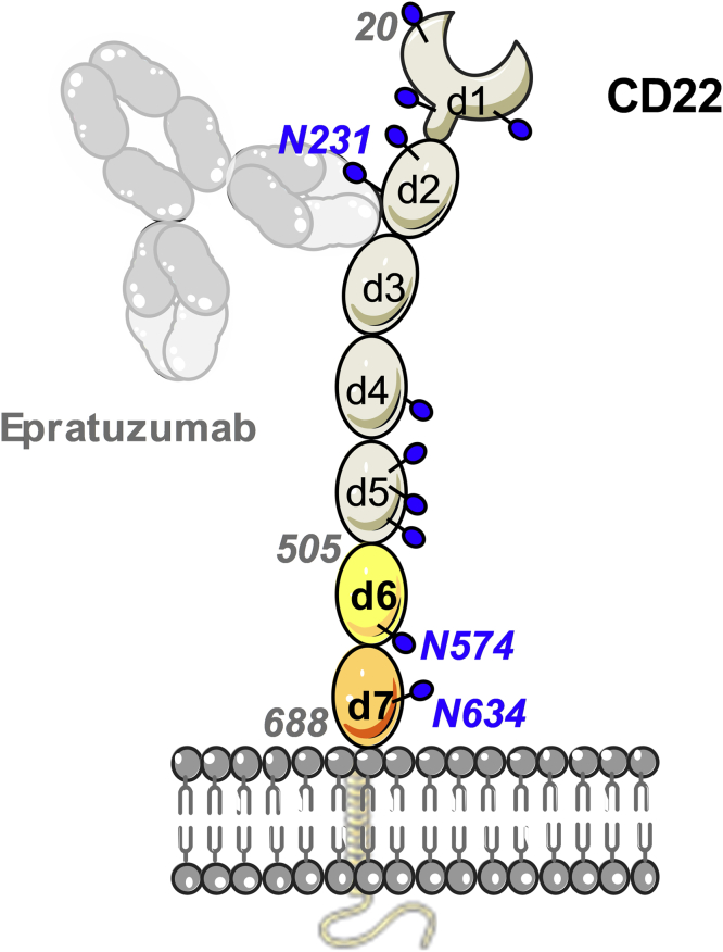 Figure 1