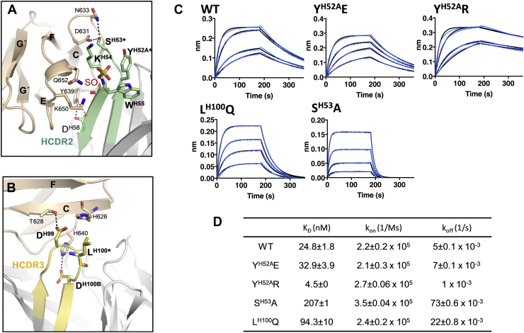 Figure 4