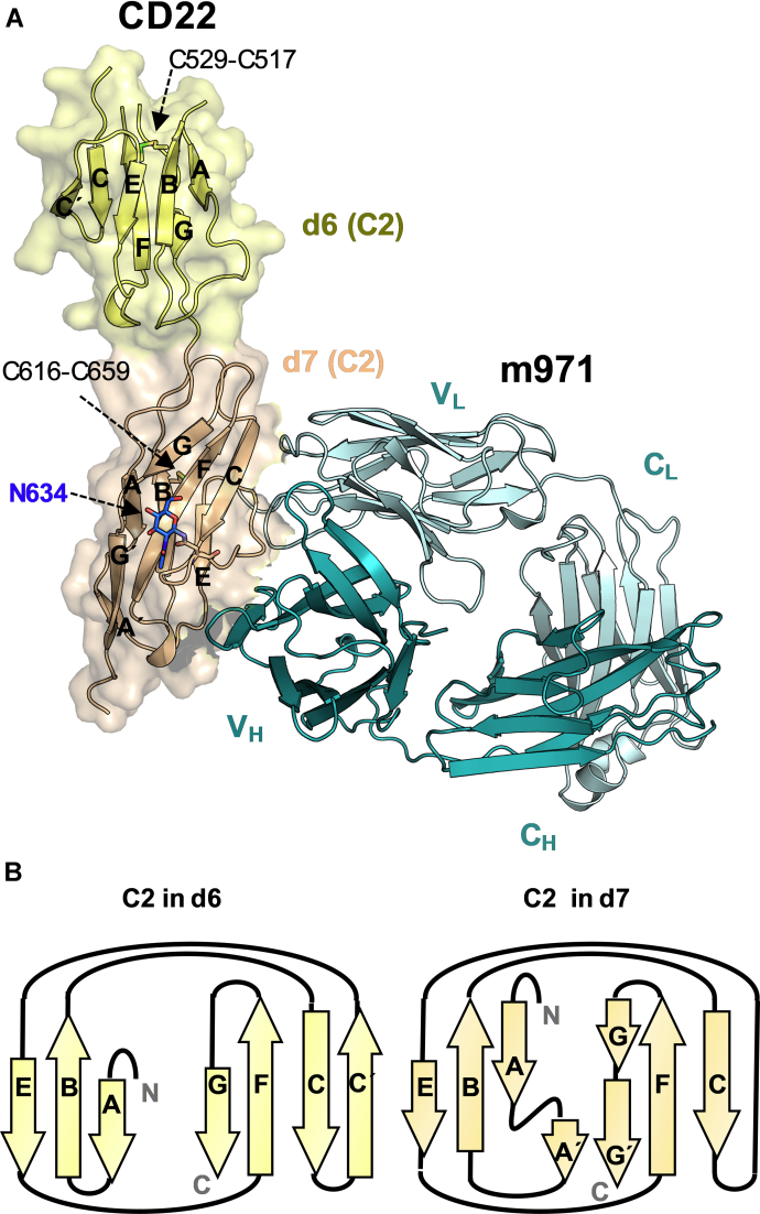 Figure 2