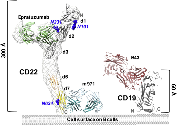 Figure 6