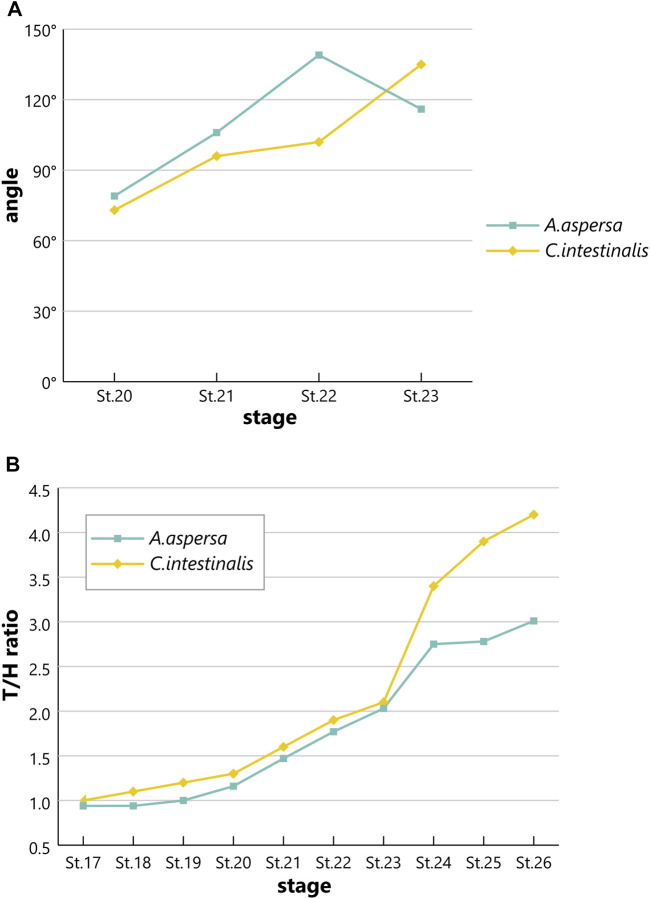 FIGURE 11