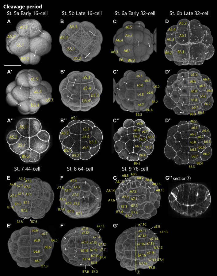 FIGURE 3