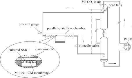 Figure 1.