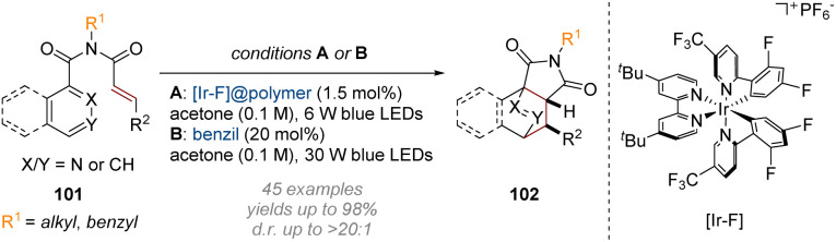 Scheme 29